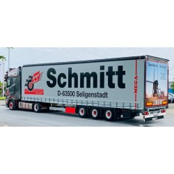 WSI DAF XG+ 4X2 Schmitt met Huifoplegger