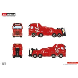 WSI VOLVO FH5 GLOBETROTTER CS AUTO