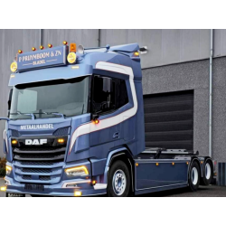 WSI DAF XF P. PRUYMBOOM & ZN