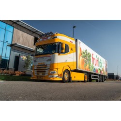 WSI DAF XG+ TRANSPORTBEDRIJF TRAVEO