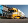 WSI DAF XG+ TRANSPORTBEDRIJF TRAVEO