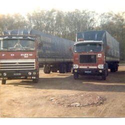 Tekno Ford Transcontinental 4x2 Beets BV