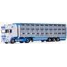 WSI Daf XF SuperSpaceCab Isoardi