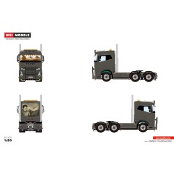 WSI VOLVO FH5 SLEEPER CAB GVT Transport Brugge