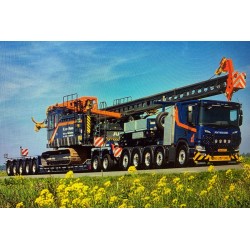 WSI SCANIA P LOW CP20 H. van Dieren