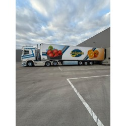 Tekno Scania NGS R530 normal cab 6x2 Cibatrans met Andiprim koeloplegger