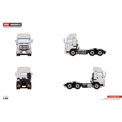 WSI ISUZU GIGA SHORT-CAB 6X4 Grijs