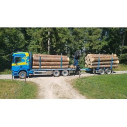 Tekno Scania R500 Martin Wittwer