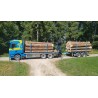 Tekno Scania R500 Martin Wittwer