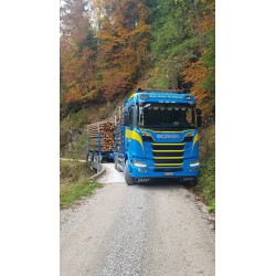 Tekno Scania R500 Martin Wittwer