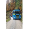Tekno Scania R500 Martin Wittwer