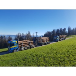 Tekno Scania R500 Martin Wittwer
