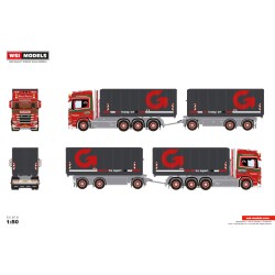 WSI SCANIA R HIGHLINE CR20H Ronnie Petersen