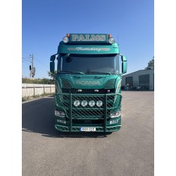 Tekno Scania NGS Highline Palms