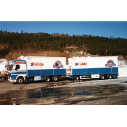 Tekno Volvo FH16 Globetrotter Holm