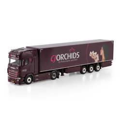 WSI SCANIA S HIGHLINE CS20H CJ Orchids