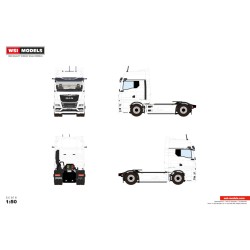 WSI MAN TGX GX White Line 4X2