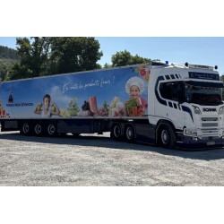 WSI SCANIA R HIGHLINE CR20H Transports Bajard et Fils