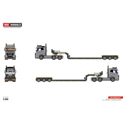 WSI VOLVO FH5 SLEEPER CAB Soro Specialtransport