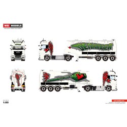 WSI MAN TGX GX Denkinger