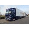 WSI VOLVO FH5 GLOBETROTTER XL Floribunda