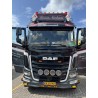 Tekno DAF XF Nielsen Vognmand, Soren