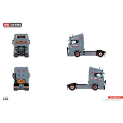 WSI MAN TGX GM Meyer