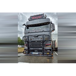 WSI MAN TGX GM Meyer