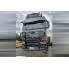 WSI MAN TGX GM Meyer