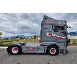 WSI MAN TGX GM Meyer