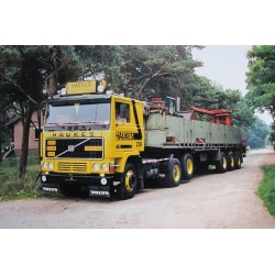 WSI VOLVO F10 Haukes