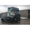 WSI MERCEDES-BENZ ACTROS MP5 Magnin