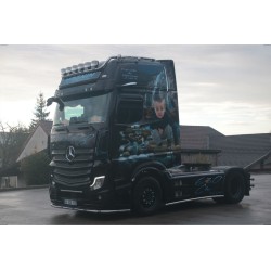 WSI MERCEDES-BENZ ACTROS MP5 Magnin