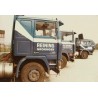 Tekno Volvo F10 Reining