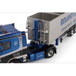WSI DAF 95XF SPACE CAB 4X2 Roland de Block