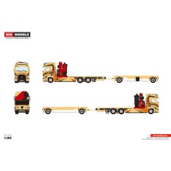 WSI RENAULT TRUCKS T EVO Thuries