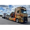 WSI RENAULT TRUCKS T EVO Thuries