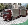 WSI Scania NGS S650 normal cab VAEX